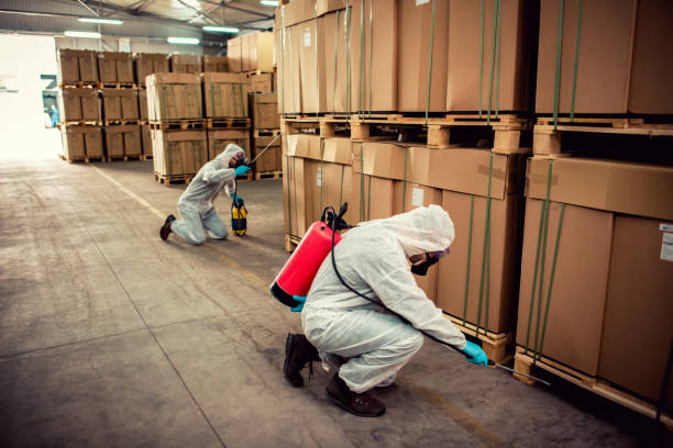 Best Best Pest Control Companies  in Union, OH