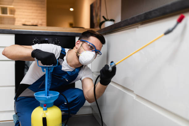 Reliable Union, OH Pest Control Solutions