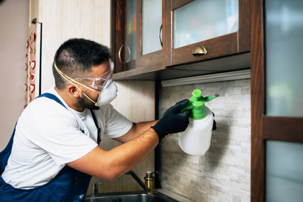 Best Residential Pest Control  in Union, OH