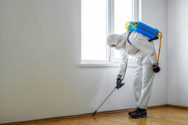 Best Pest Removal Services  in Union, OH