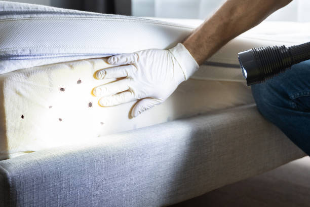 Best Exterminator Services  in Union, OH