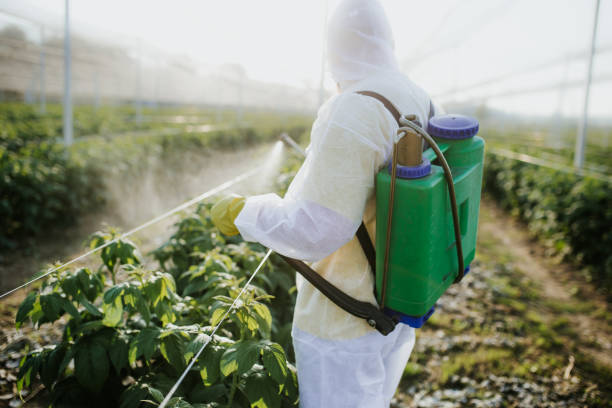 Pest Control for Restaurants in Union, OH